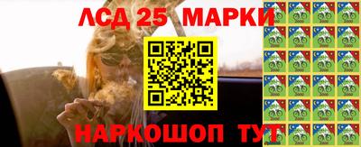 спайс Кингисепп