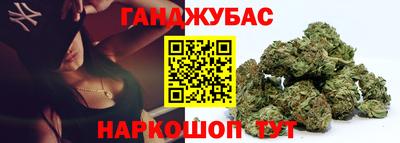 спайс Кингисепп
