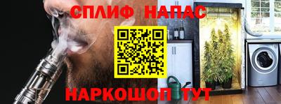 спайс Кингисепп