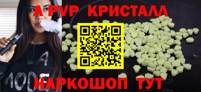 спайс Кингисепп
