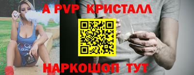 спайс Кингисепп