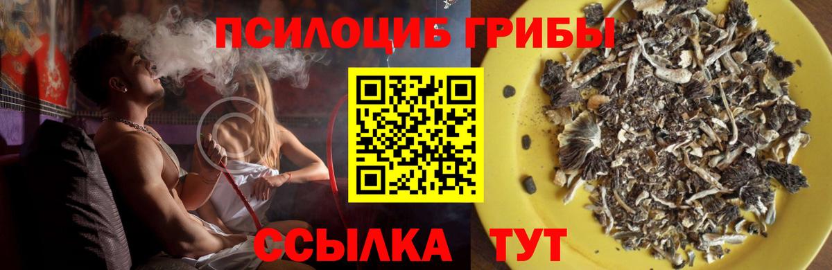 Галлюциногенные грибы мицелий  Вход с VPN  Кудрово 