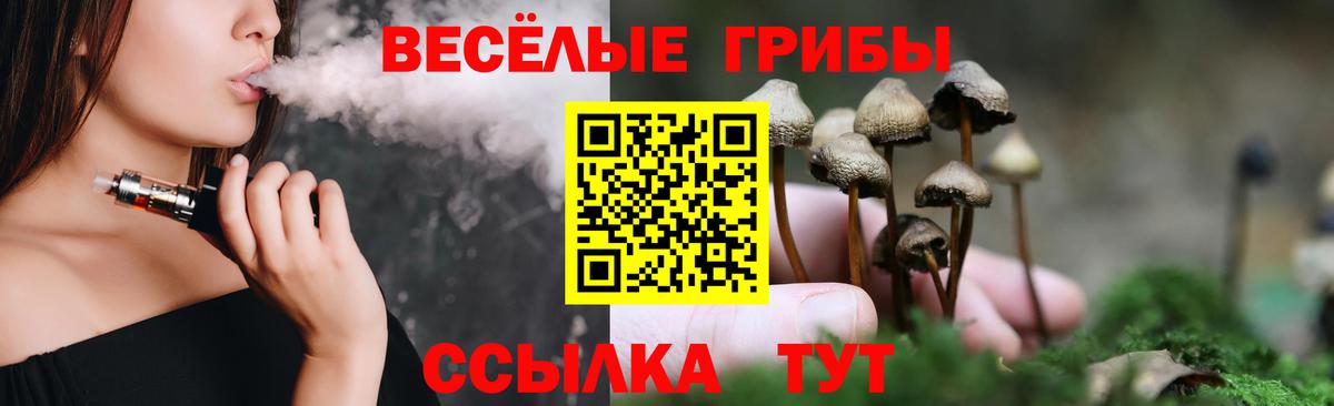 Галлюциногенные грибы Cubensis Кудрово